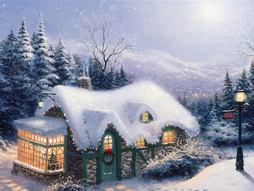 Christmas House In The Woods Photo Backdrop IBD-246993 size: 6x5x5